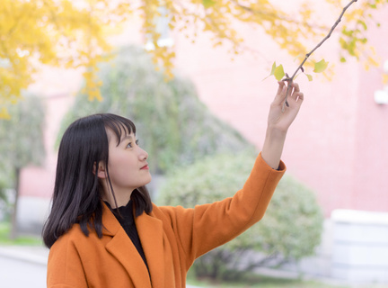 菲律宾的大学中国认可吗